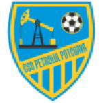 Petrolul Potcoava team logo