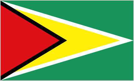 Guyana W team logo