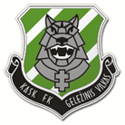 Home Team Logo