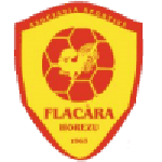 Flacăra Horezu team logo